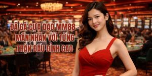 Đá Gà Cựa Dao MM88 - Mãn Nhãn Với Từng Trận Đấu Đỉnh Cao