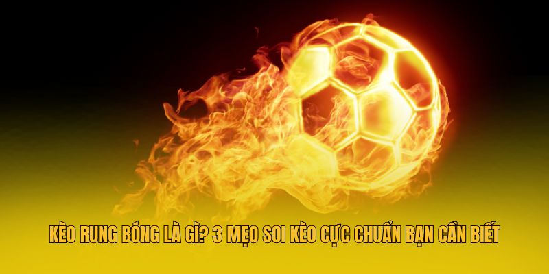 Tìm hiểu mẹo soi kèo rung bóng hiệu quả nhất