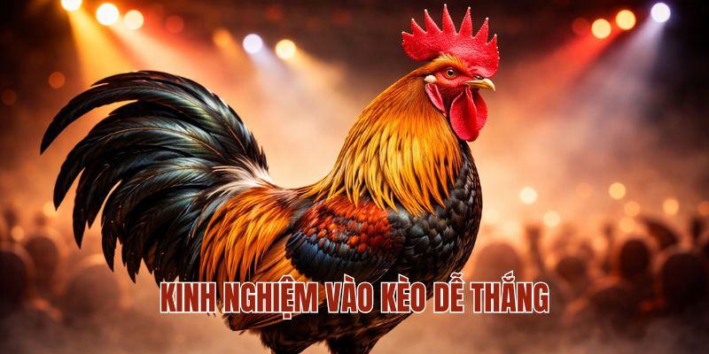 Kinh nghiệm vào kèo dễ thắng