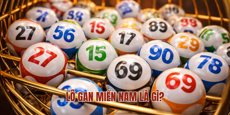 Lô gan miền Nam là gì?